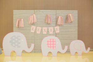 Lexie’s Baby Elephant and Tutu Themed Party – 1st Birthday