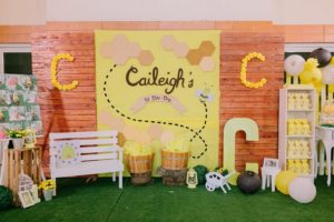 Caileigh’s “As sweet as it can Bee” Themed Party – 1st Birthday