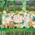Woodland and friends theme party stage