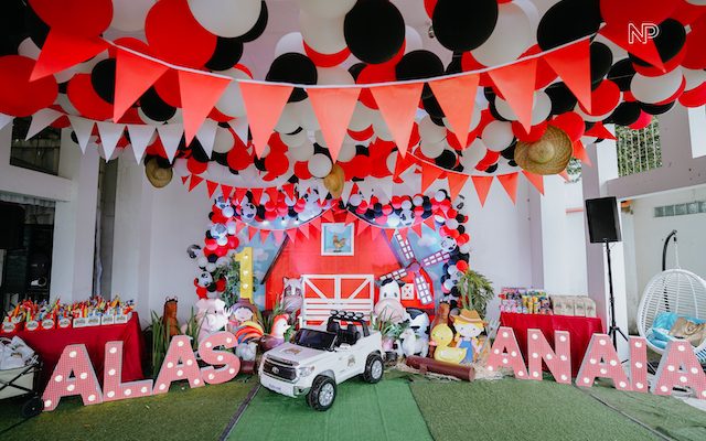 Alas and Anaia’s Barnyard Themed Party – 1st Birthday
