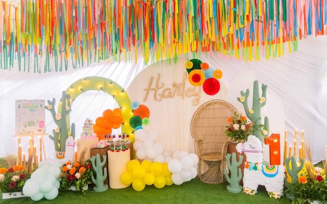 Harley’s Festive Llama Themed Party – 1st Birthday