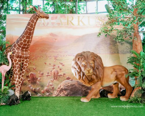 Markus’ Jungle Safari Themed Party – 1st Birthday