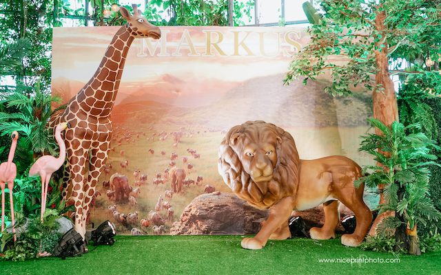 Markus’ Jungle Safari Themed Party – 1st Birthday