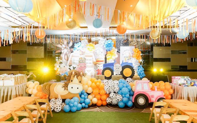 Nate and Niles’ Bardyard Fun Themed Party