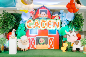 Caden’s Cocomelon Barnyard Fun Themed Party – 1st Birthday