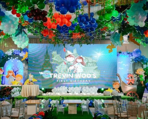 Trevin’s Trip to Neverland birthday party